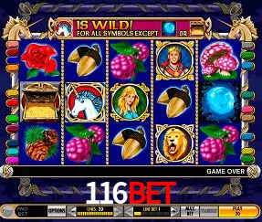 Descubra o Mundo do Cassino Online com 116bet